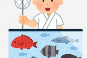 水槽で泳いでる魚介類を選んだら料理人がその場で捌いて調理してくれる←怖すぎるだろこのシステム