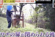 【画像】熊を殺すなという人たち「クソッ！これ以上クマを殺されてたまるか！！………せや！」