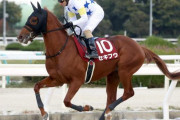 コリアカップにセキフウ、コリアスプリントにラプタスが選出