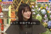 【欅坂46】菅井友香、いきなり活躍！！！！！【池上彰のニュース そうだったのか!!】