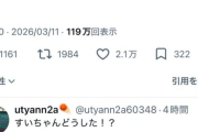 【画像】ホロライバー「🙏（黙祷）」オタク「ん？どうしたの？お昼ご飯？」