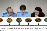 警視庁公式ＹｏｕＴｕｂｅチャンネル、一線を超えるｗｗｗｗｗ（動画あり）