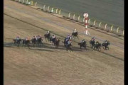 どのG1レースで勝てる馬が一番強い馬だと思う？