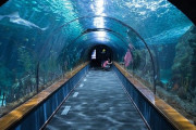 【画像】彼女が水族館デートに着てきた服がこれｗｗｗｗｗｗｗｗ