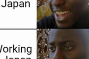 外国人「日本で旅行するのと日本で働くのって天と地の差だよな…」