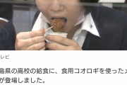 日本の給食、食料不足のためコオロギを導入wwwwwwww