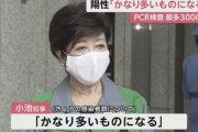 小池百合子「昨日の検査数が3000件を超えたので今日はかなりの数になる」