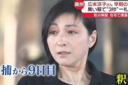 【悲報】広末涼子さん、釈放されるも顔で許される…