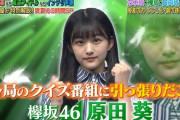 【欅坂46】各局のクイズ番組に引っ張りだこ！原田葵、坂道軍団として『Qさま』に降臨！