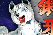 40年連載してる漫画『銀牙』、連載のしすぎでもうめちゃくちゃな領域に到達してしまう・・・
