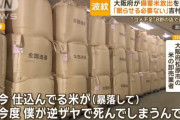 【悲報】米農家、小泉進次郎にブチ切れ「てめえが備蓄米放出したせいで暴落したんだよ! ヤフコメもバカばかり！卸と農家は悪くねーんだよ！」