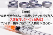 【速報】 ドイツ＆欧州連合さん、中国製ワクチンを打った人物は入国許可しないことを決定！ ファイザー製などを打った人物は入国OKへ