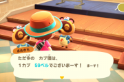 あつまれどうぶつの森 カブ価が大暴落して大損した話