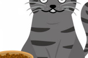 【画像あり】猫に食べ物あげる時は「働かずに食うメシは美味いか？」って言いながらあげてるｗ
