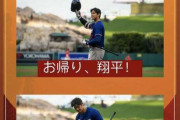 大谷翔平、水原一平氏の違法賭博騒動後初インスタ更新「どんな気持ちだったのかな」ファンも反応
