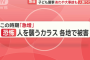 【緊急】カラス、人間を襲い始める