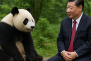 【中国・パンダ制裁だ】中国ネット 「日本にはクマがいるから（パンダがいなくなっても）問題ないだろ」