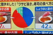 【悲報】　寿司屋「お願いだから、ワサビを醤油に溶かさないで」