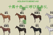 【画像】このJRAのPL（損益計算書）が面白い・・・馬券の売上が1年で2.8兆円　約75%（2.1兆円）が購入者に・・・
