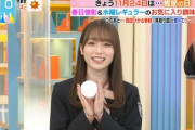 【櫻坂46】守屋麗奈のお嬢成分ｷﾀ━━━━(ﾟ∀ﾟ)━━━━!!【ラヴィット】