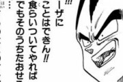 ベジータ(戦闘力24000)「不老不死になればフリーザ(530000)に勝てるぞ！」