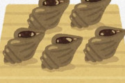 【画像】エゾタマガイとかいう貝が売ってたから塩茹でにしたよ?