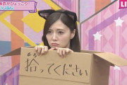 【乃木坂46】この猫を飼いたいんだけど、用意するものある？