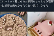 【悲報】男さん、カービィのケーキを買ってしまい妻にキレられるｗｗｗｗ