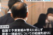 【速報】自民党　1人10万円の現金給付、結論先送りに