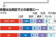 【速報】ネット誹謗中傷、5割があいつらだったｗｗｗｗｗｗｗｗｗｗｗｗｗｗｗｗｗｗｗ
