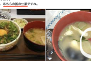 【すき家“ねずみ混入”】天より闇光の力の目覚めた純日本人さん、写真のある部分に注目し『国籍透視』→2700万PV超