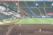【画像】甲子園「原則無観客です。応援のみ人数を限定して許可します」→なぜか密になってしまう・・・
