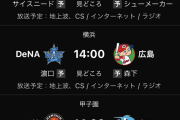 【大悲報】この猛暑の中、プロ野球6試合中5試合が屋外球場