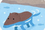 【悲報】キモすぎるクジラ、発見される