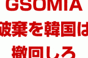 米国政府「日本のホワイト国除外？何が問題なの？」「韓国はGSOMIAの破棄を撤回しろ。問題だ」　文在寅どうすんのこれ…