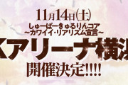 島村嬉唄ちゃんの所属しているきゅるりんってしてみてが11月14日にKアリーナ公演開催決定