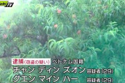 【静岡】果樹園から大量の桃を盗む　ベトナム国籍のグエン容疑者ら2人逮捕