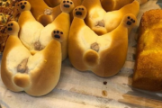 【画像】パン屋「コーギーのお尻パン売ってますー！」ワイ「何やその可愛い感じのパンは」