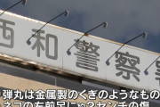 「食料の一部として狩ろうとした」自作銃で猫を撃った男(49)を逮捕…奈良県！