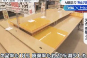 【悲報】AIで半額弁当が激減へ。庶民の敵だろこれ
