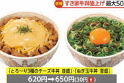 【悲報】すき家の「チーズ牛丼」、遂に値上げされるｗｗｗｗ