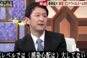 【速報】専門家「もしかしたら満員電車にコロナの感染リスクがあるかもしれない」と初の指摘
