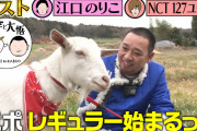 【悲報】 千鳥の大悟、19時台の番組で視聴率1.6%という数字を叩き出す