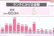 【悲報】ランチ代が200円未満の人の割合、およそ10％…