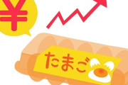 エッグショック再来か 卵1パック300円超 Xmasケーキも値上がり？