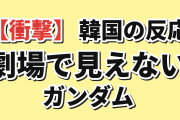 【衝撃】韓国人「あのガンダム、劇場で本当に見えてた？」