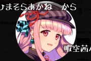 【悲報】オタクの守護者『暇空茜』、東京地検に続き横浜地検も起訴で実刑確定か