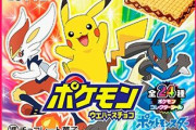 ポケモン始まった当初にこんなのあったな～って商品