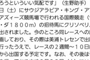 【競馬】朗報！クリソベリルにサウジアラビアCの招待状が届き出走がほぼ決定！！！
