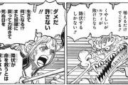 【正論】ワンピース「降伏が命を救うとは限らない」←心に刺さると話題にｗｗｗ